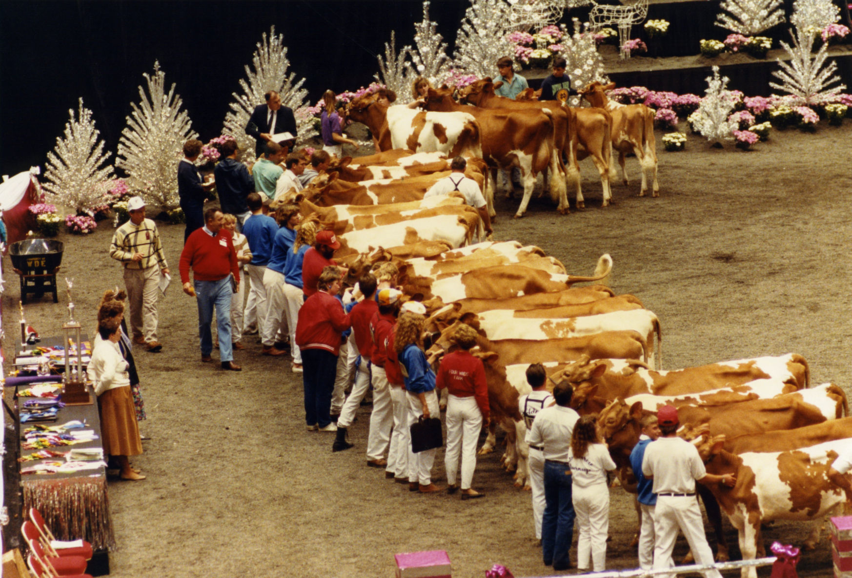 1991